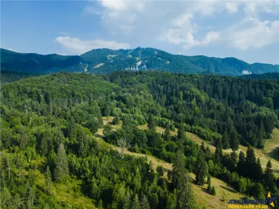 Film!!Punct de intalnire cu natura! Poiana Brasov - Rasnov,350.000mp,destinatie turistica si agrement - foto 2