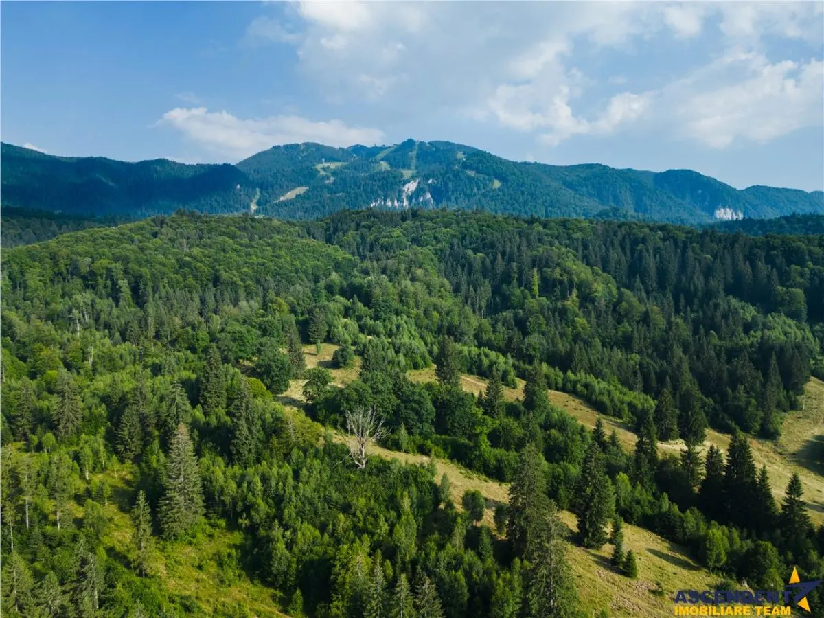 Film!!Punct de intalnire cu natura! Poiana Brasov - Rasnov,350.000mp,destinatie turistica si agrement - foto 2