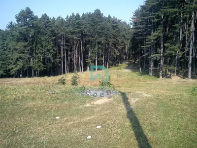 Teren Poiana Angelescu, Sacele, Brasov - foto 2
