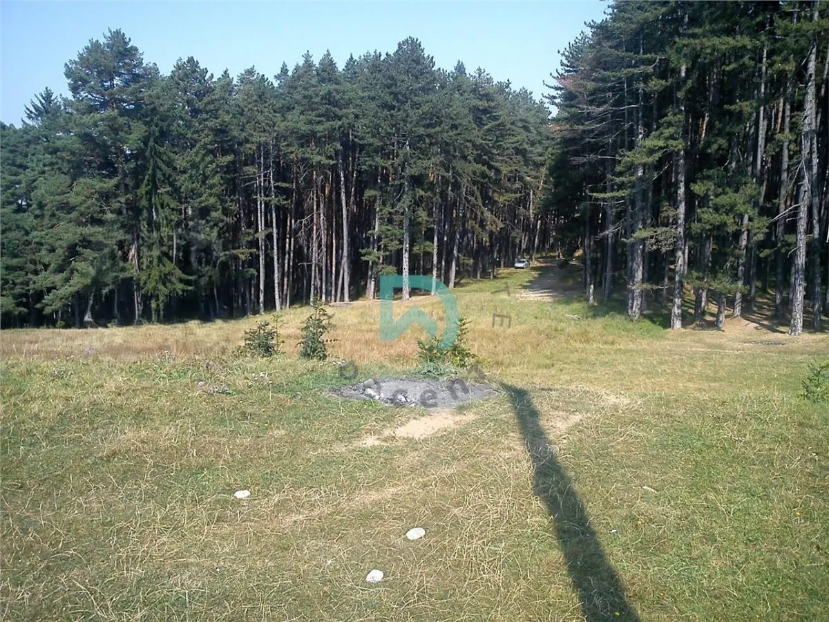 Teren Poiana Angelescu, Sacele, Brasov - foto 2