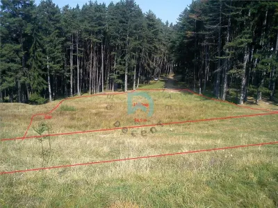 Teren Poiana Angelescu, Sacele, Brasov - foto 11
