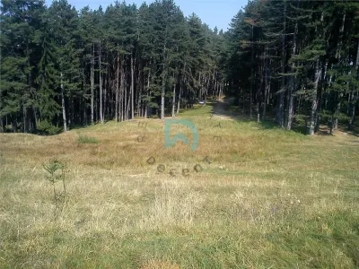 Teren Poiana Angelescu, Sacele, Brasov - foto 12
