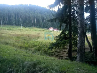 Teren Poiana Angelescu, Sacele, Brasov - foto 14