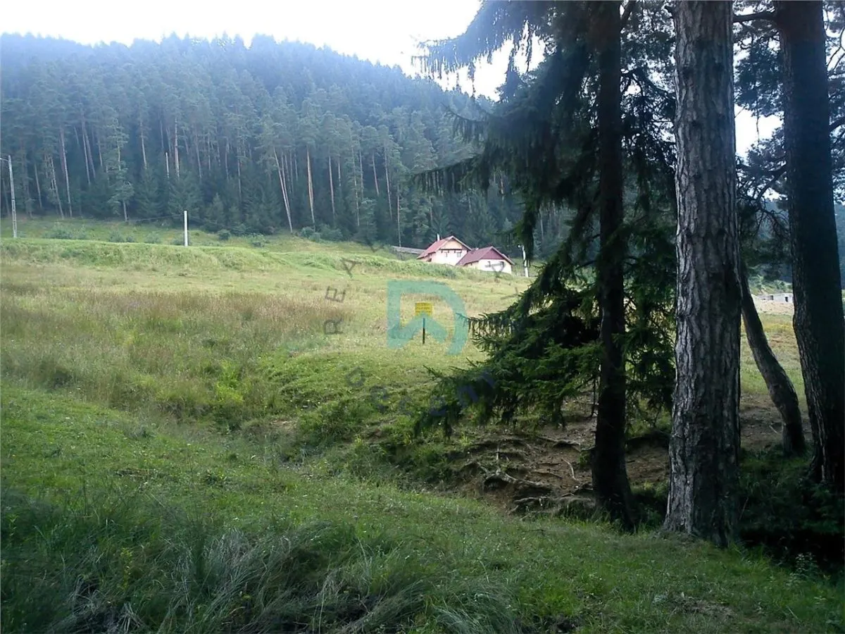 Teren Poiana Angelescu, Sacele, Brasov - foto 14