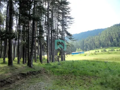 Teren Poiana Angelescu, Sacele, Brasov - foto 15