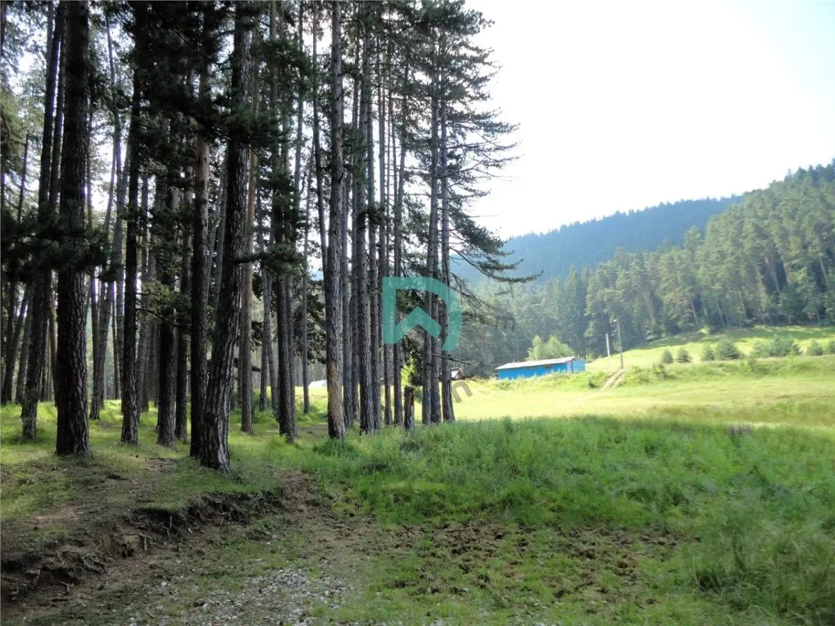 Teren Poiana Angelescu, Sacele, Brasov - foto 15