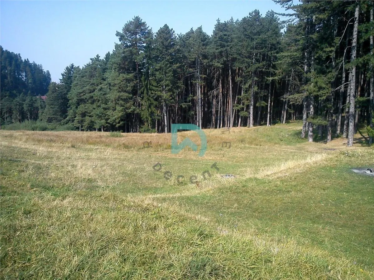 Teren Poiana Angelescu, Sacele, Brasov - foto 4