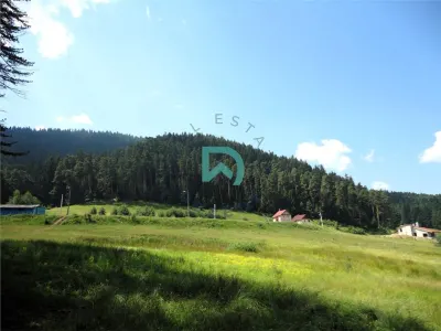 Teren Poiana Angelescu, Sacele, Brasov - foto 10
