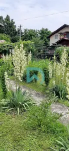 Casa Breaza,  judetul Prahova - foto 8