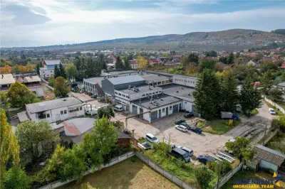Film Prezentare! Ansamblu: Spatii birouri, productie si similare, Sfantu Gheorghe, Covasna - Sfantu Gheorghe