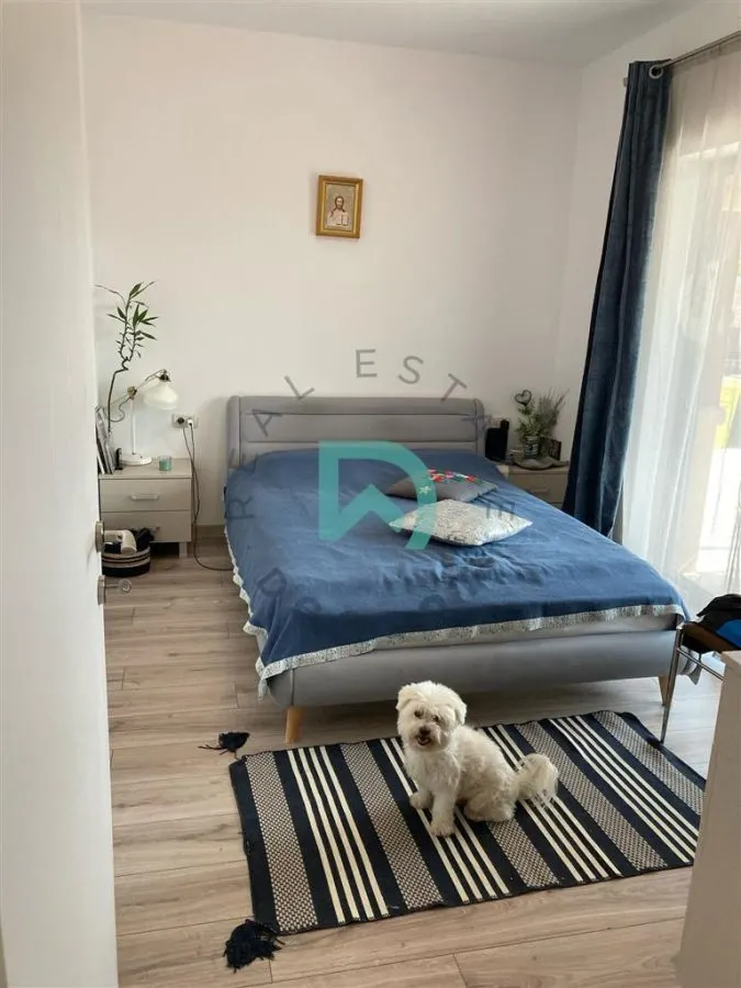 Casa individuala Sanpetru - foto 6
