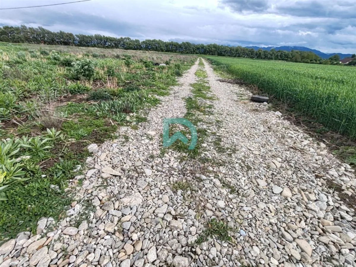 Vanzare teren intravilan, Dn 13, Stupini, Brasov - foto 1