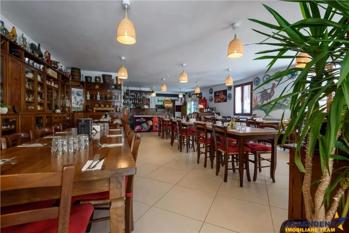 Pensiune cu restaurant, farmec aparte, concept italian, Central, Bran - foto 1