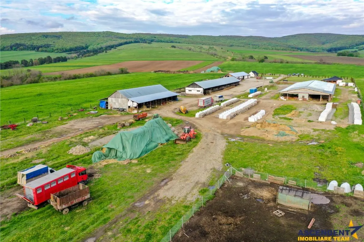 Ferma+Anexe specifice+ Constructie rezidentiala+222.000 mp domeniu - foto 12