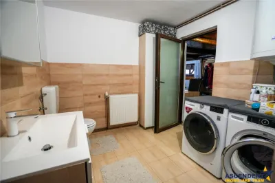 Ferma+Anexe specifice+ Constructie rezidentiala+222.000 mp domeniu - foto 13