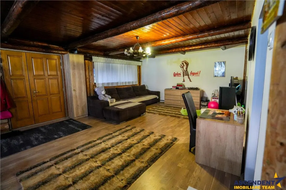 Ferma+Anexe specifice+ Constructie rezidentiala+222.000 mp domeniu - foto 15