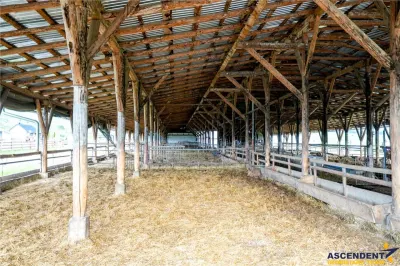 Ferma+Anexe specifice+ Constructie rezidentiala+222.000 mp domeniu - foto 19
