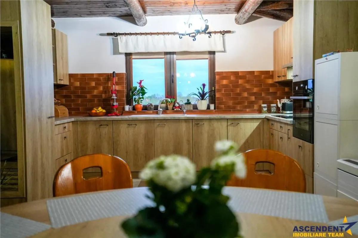 Ferma+Anexe specifice+ Constructie rezidentiala+222.000 mp domeniu - foto 21