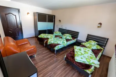 Vila 6 camere, Timisul de Sus. - foto 16