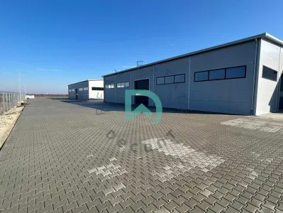 Hale industriale, birouri si curte proprie de inchiriat - Codlea