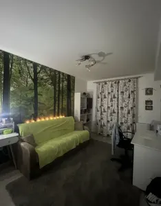 Cu gradina proprie, Avantgarden, Brasov - foto 1