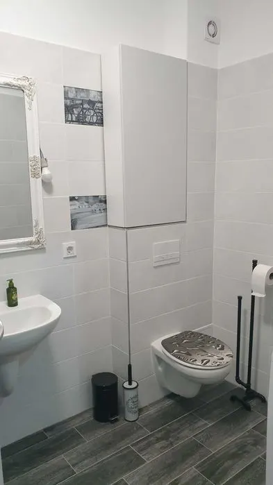 Apartament 2 camere,  în vila, mobilat, utilat, loc parcare, Sanpetru, Brasov - foto 7