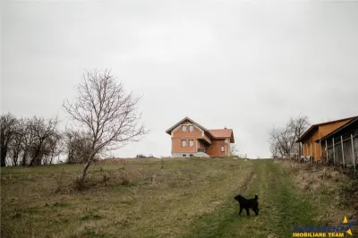 FILM! Casa si domeniu de 5.000mp, in Berchez:o bijuterie ascunsa a Maramuresului - foto 4