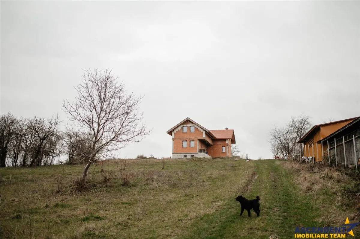FILM! Casa si domeniu de 5.000mp, in Berchez:o bijuterie ascunsa a Maramuresului - foto 4