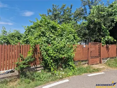 Casa traditionala, cu 2.000mp teren roditor, Izvoarele - Bucuresti