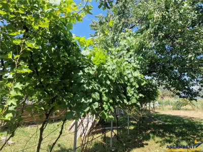 Casa traditionala, cu 2.000mp teren roditor, Izvoarele - foto 11