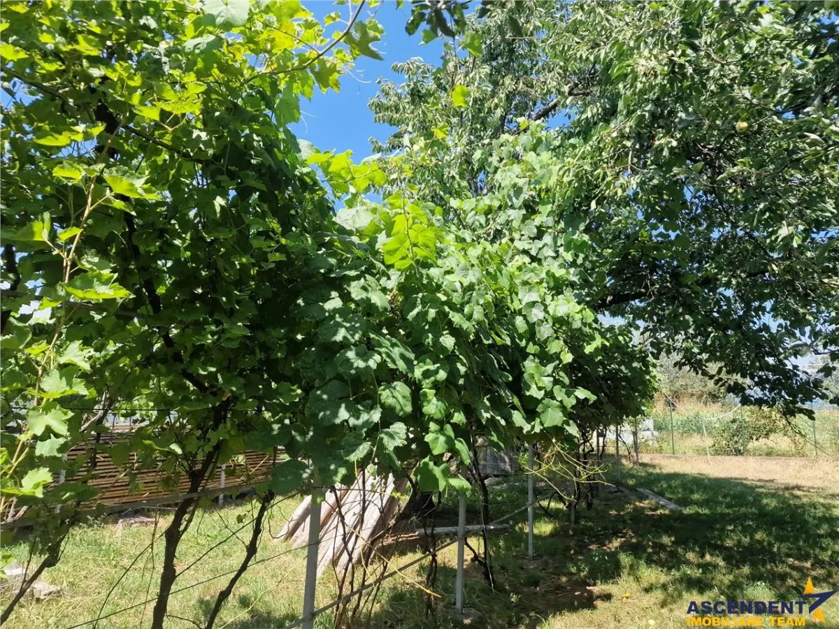 Casa traditionala, cu 2.000mp teren roditor, Izvoarele - foto 11