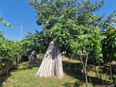 Casa traditionala, cu 2.000mp teren roditor, Izvoarele - foto 13