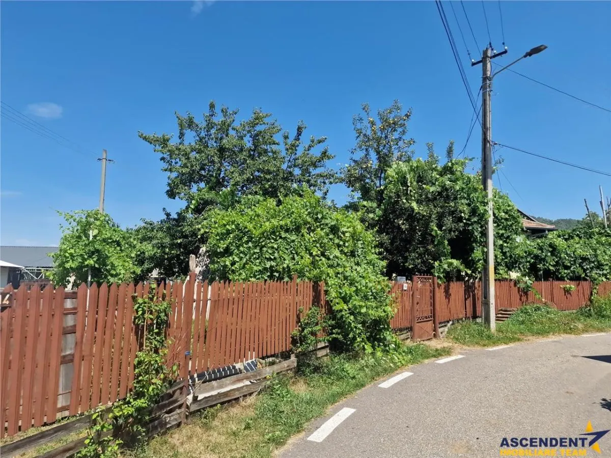 Casa traditionala, cu 2.000mp teren roditor, Izvoarele - foto 15