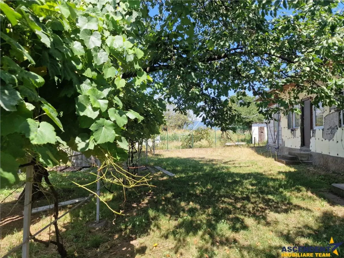 Casa traditionala, cu 2.000mp teren roditor, Izvoarele - foto 9