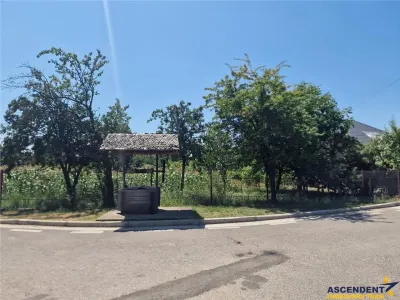 Casa traditionala, cu 2.000mp teren roditor, Izvoarele - foto 10