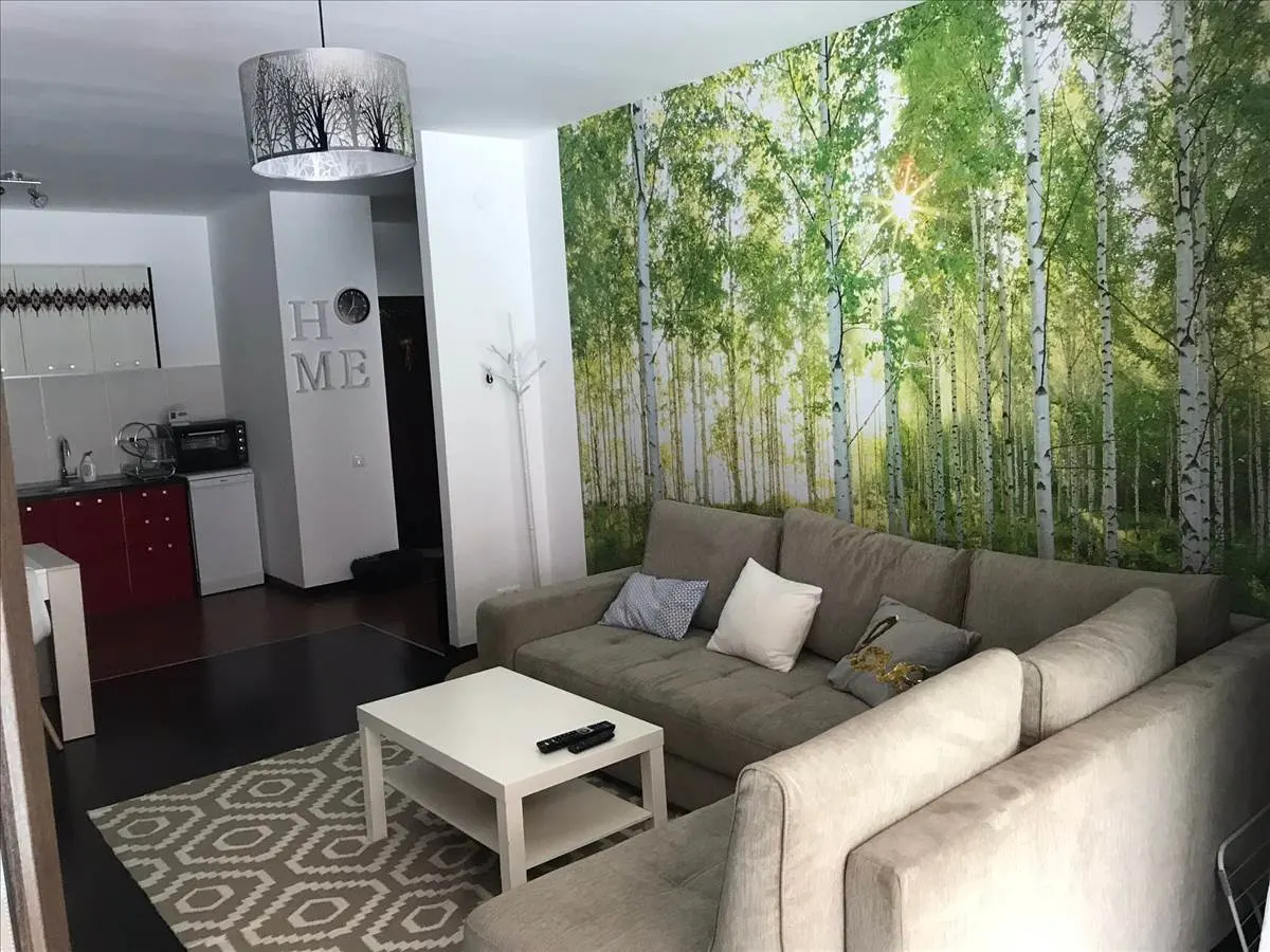 Apartament in complex nou, Racadau - foto 10