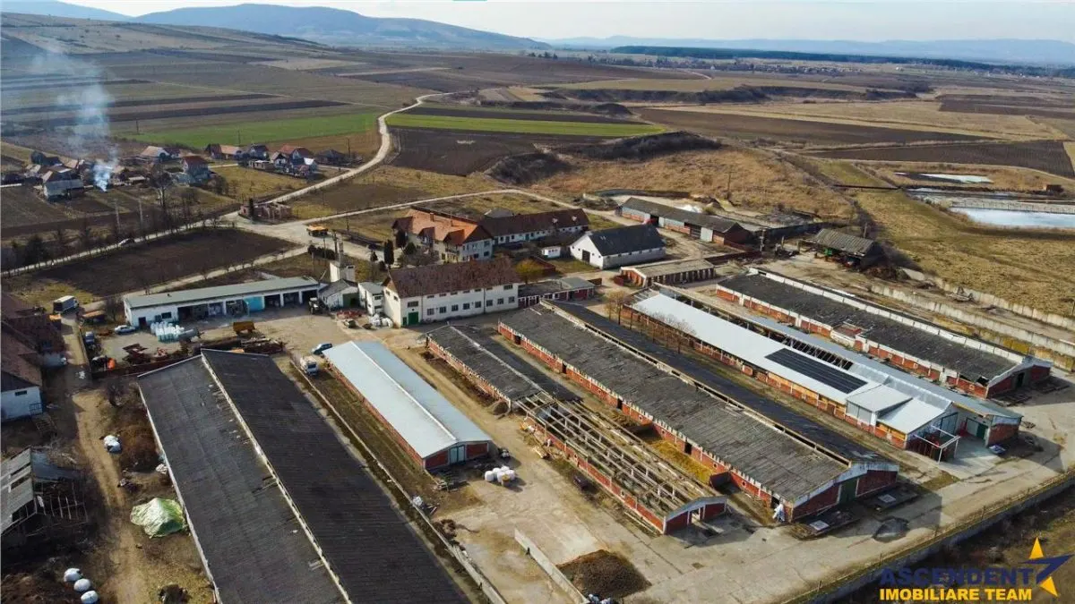 Ansamblu agrozootehnic cu renume,dotat +valoare exceptionala+potential versatil, Covasna - foto 12