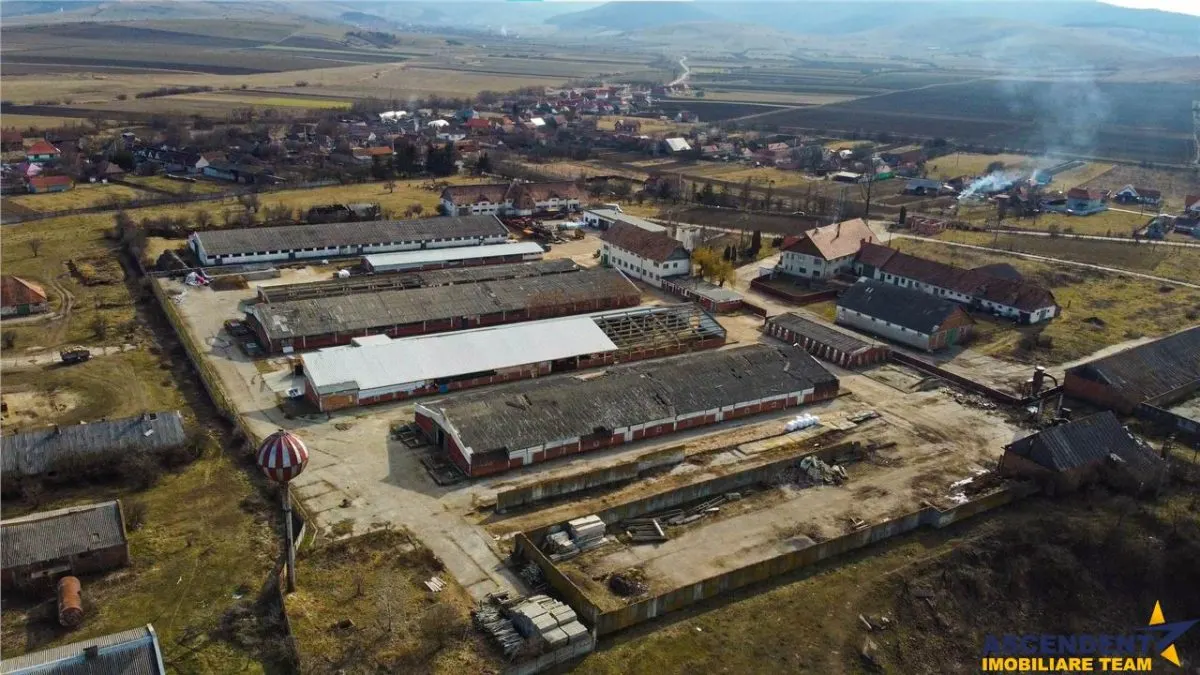 Ansamblu agrozootehnic cu renume,dotat +valoare exceptionala+potential versatil, Covasna - foto 16