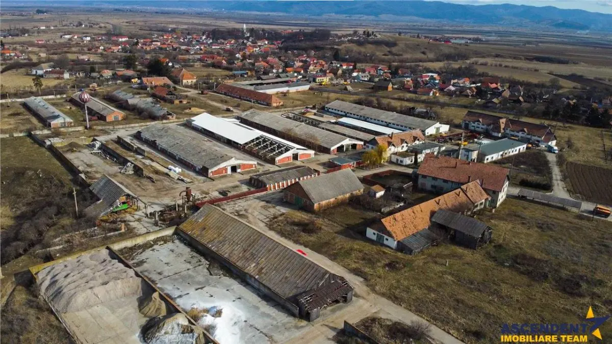 Ansamblu agrozootehnic cu renume,dotat +valoare exceptionala+potential versatil, Covasna - foto 20