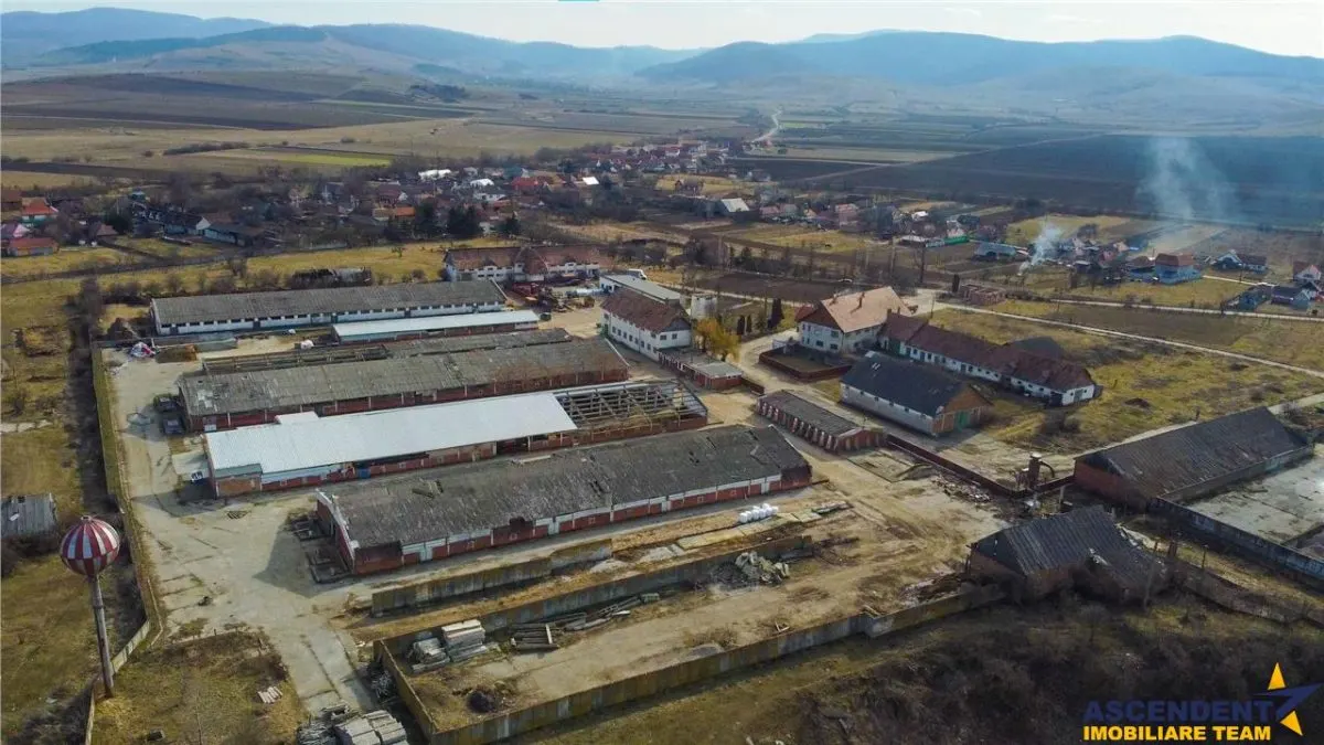 Ansamblu agrozootehnic cu renume,dotat +valoare exceptionala+potential versatil, Covasna - foto 22