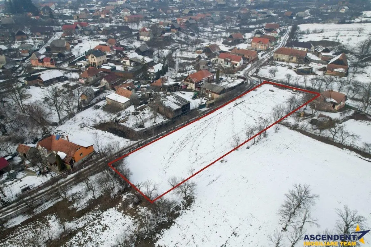 Film! 2.700 mp:refugiu al linistii si oportunitatii imobiliare,Cernat,Sfantu Gheorghe - foto 8