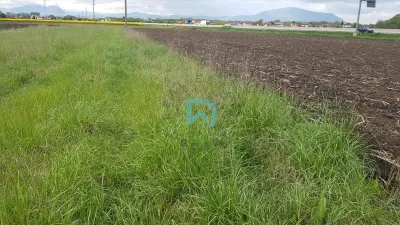 Oportunitate investitie teren zona ocolitoare - foto 2