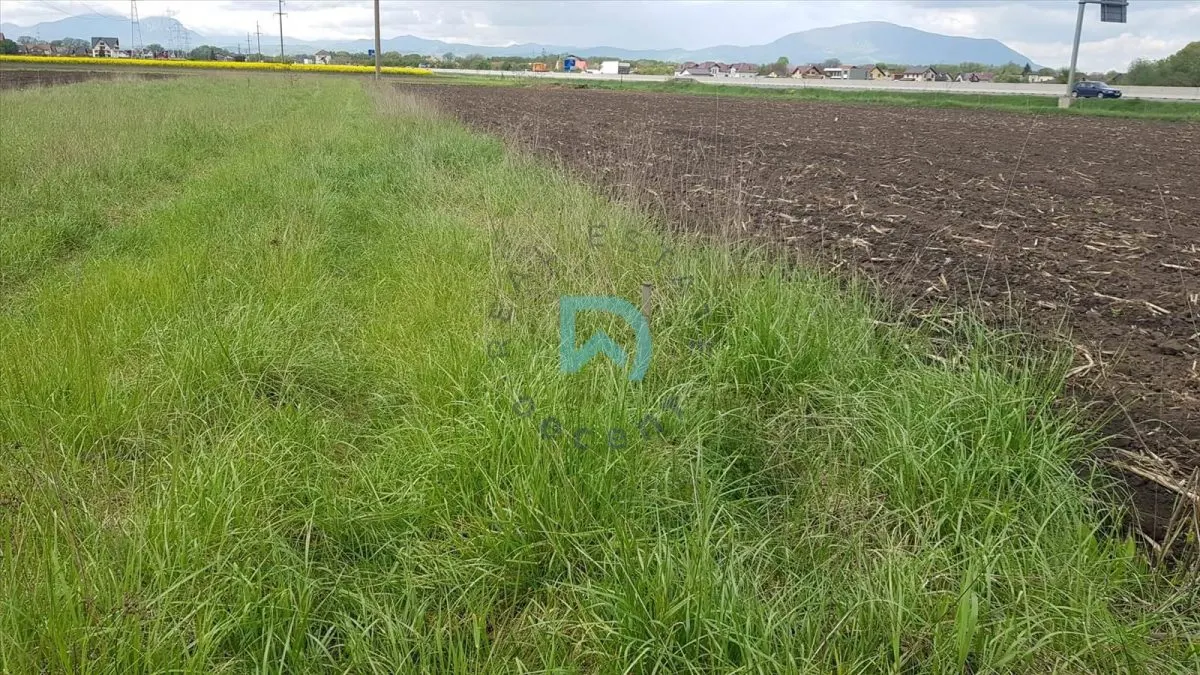Oportunitate investitie teren zona ocolitoare - foto 2