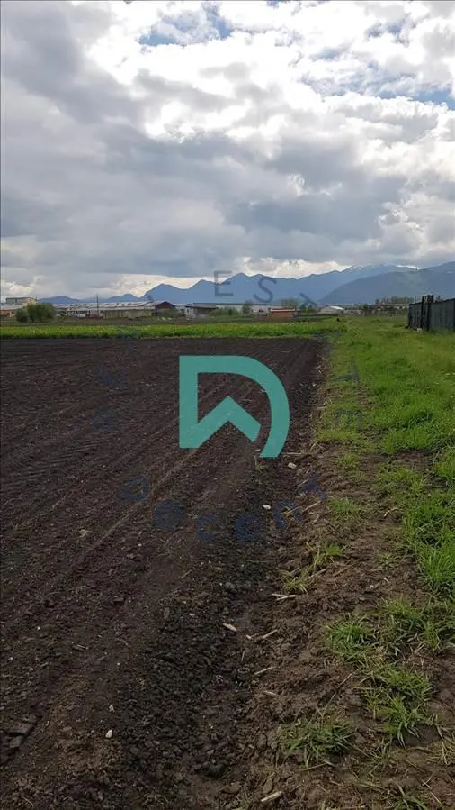 Oportunitate investitie teren zona ocolitoare - foto 3