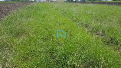 Oportunitate investitie teren zona ocolitoare - foto 6