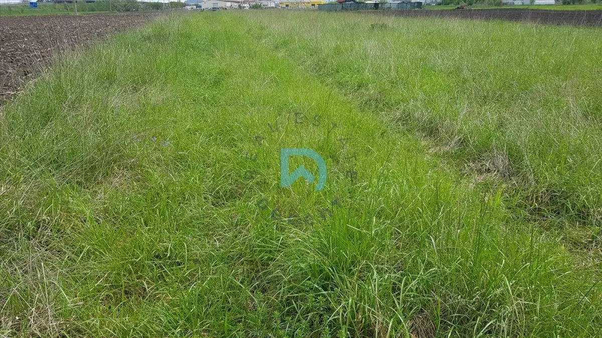 Oportunitate investitie teren zona ocolitoare - foto 6