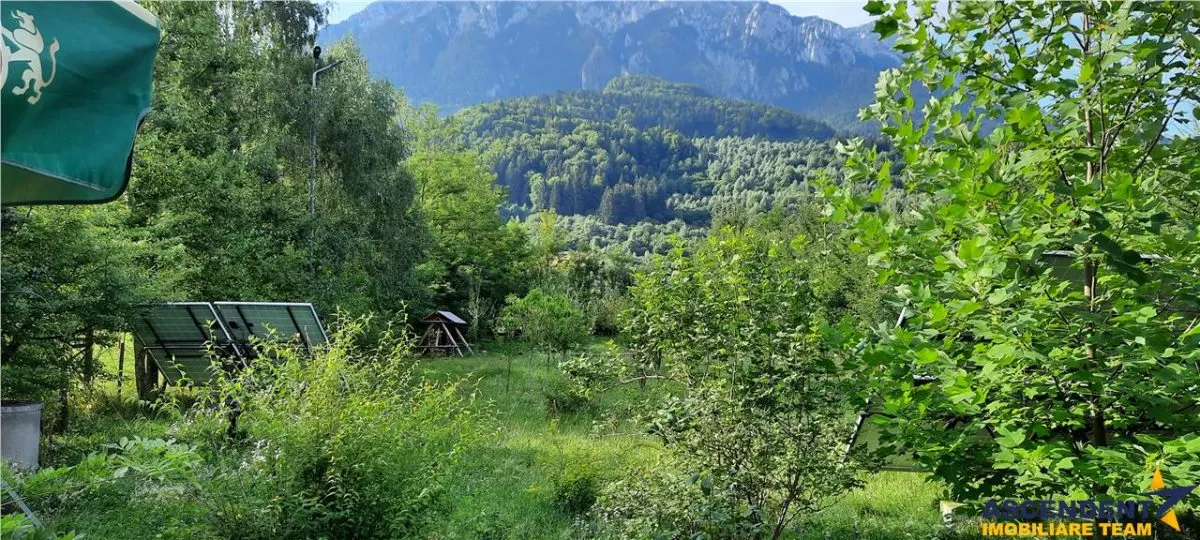 In cartea de povesti a Pietrei Craiului, ansamblul turistic functional,Plaiul Foii - foto 14
