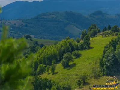 In cartea de povesti a Pietrei Craiului, ansamblul turistic functional,Plaiul Foii - foto 20