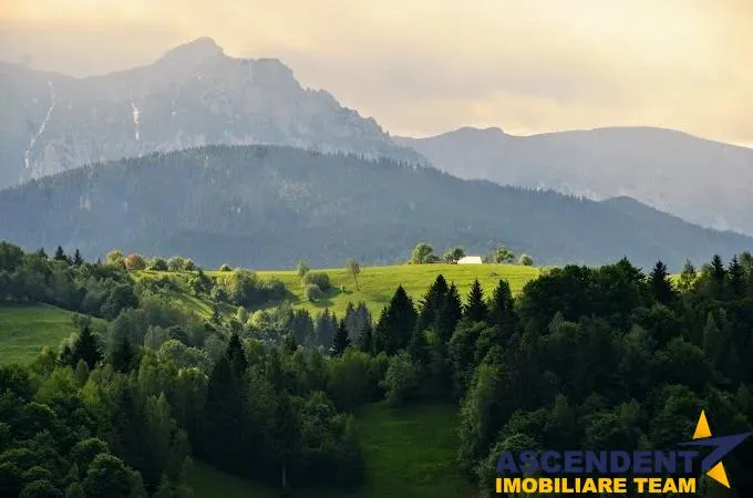 Cu vedere panoramica la Bucegi Bran-Moieciu - foto 1