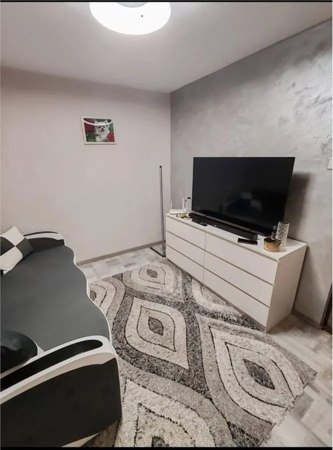 Apartament 2 Camere 7 Noiembrie Regina Maria - foto 3